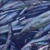 Illegal Fishing