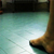 Study tests postural aid on diabetics